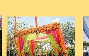 Greenery Wall with Marigold Swags - Carnival Board Games Rental & Sale